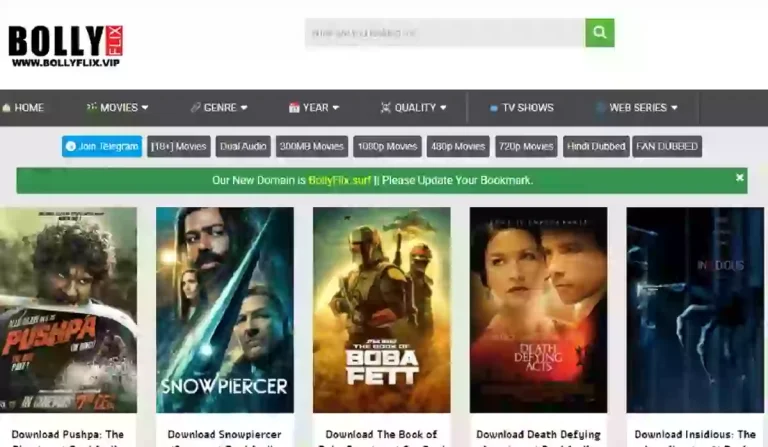 BollyFlix Review