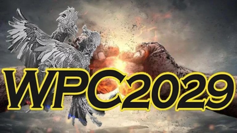 WPC2029 Review