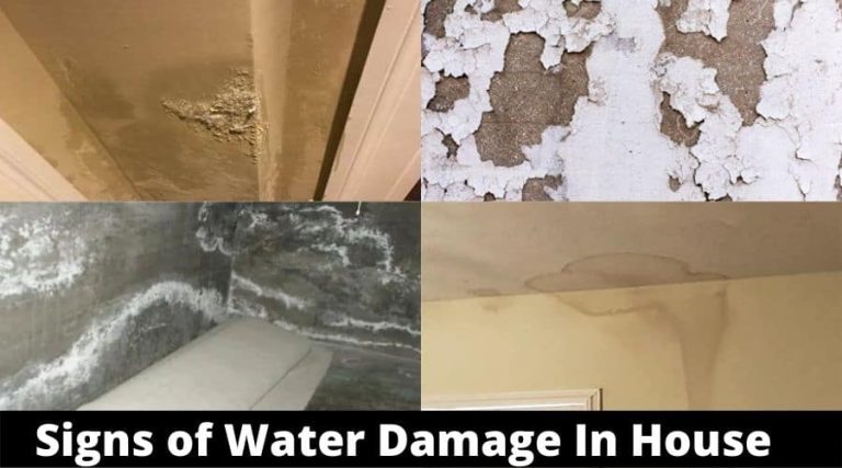 4 Signs: You Need One to Prevent Water Damage.