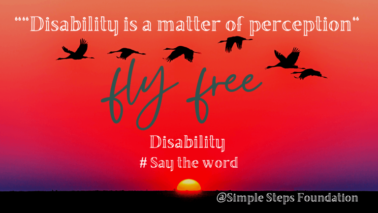 Understanding the Perception of Disability