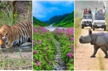 go-on-an-adventurous-holiday-with-these-5-national-parks-of-india-9-920x518 (1)