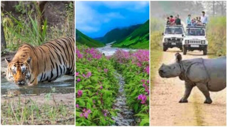 5 Best National Parks in India
