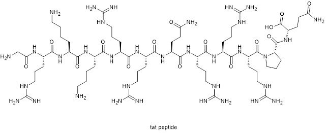 Chemical structure of Tat peptide